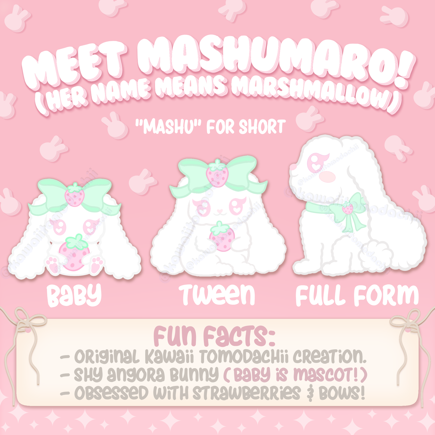 Mashu Bunny Shaker Mold - Mashumaro the Marshmallow Bunny (YOU CHOOSE!)